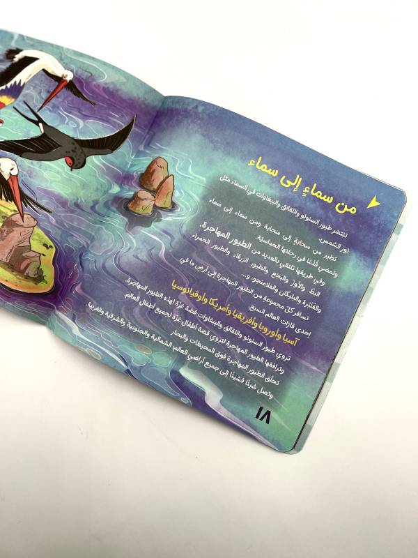 ⁦سنونو غزه⁩ - الصورة ⁦4⁩